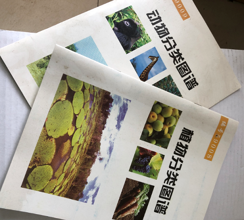 動物、植物分類圖譜